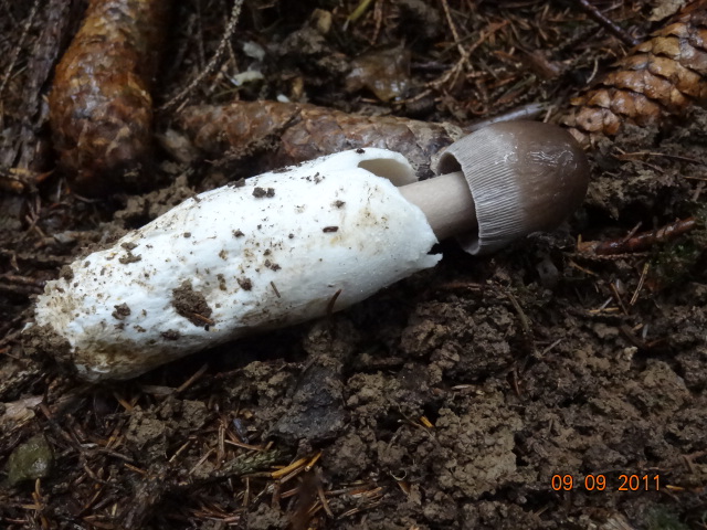 Novit� per .... me : QUIZZZZ